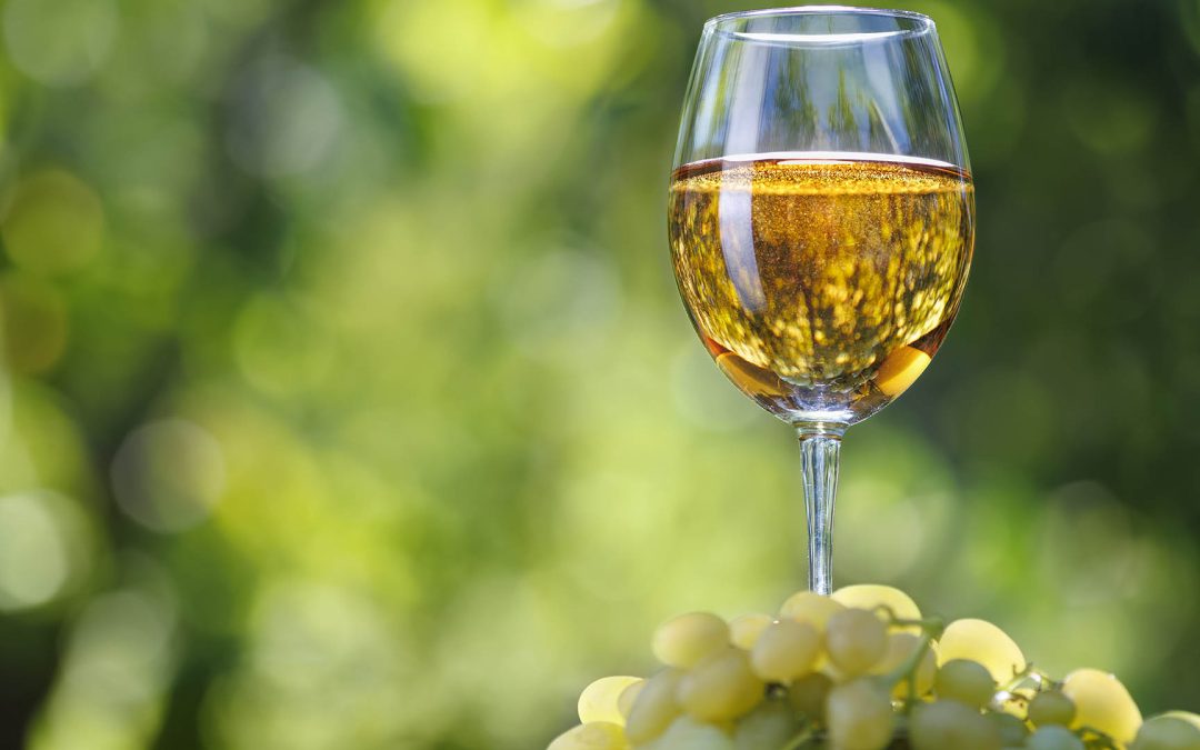 La nostra carta di vini naturali